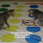 Alternative view 7 of How to Take Over Teh Wurld: A LOLcat Guide 2 Winning