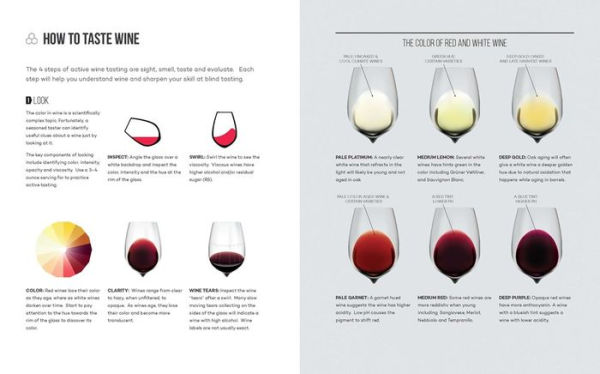 Wine Folly: The Essential Guide to Wine by Madeline Puckette