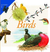 Title: Birds, Author: Maria Angeles Julivert