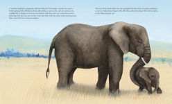 Alternative view 2 of The Elephant