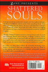 Alternative view 2 of Shattered Souls