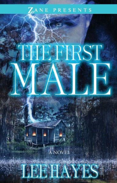 The First Male: A Novel