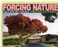 Title: Forcing Nature: Tree in Los Angeles, Author: George Hass