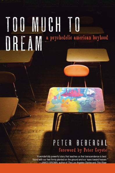 Too Much to Dream: A Psychedelic American Boyhood