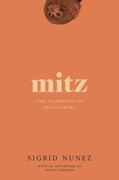 Mitz: The Marmoset of Bloomsbury