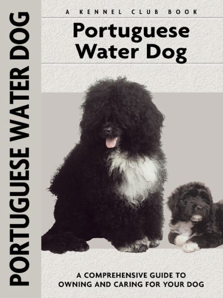 Portuguese Water Dog