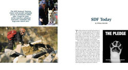 Alternative view 3 of Dog Heroes of September 11th: A Tribute to America's Search and Rescue Dogs