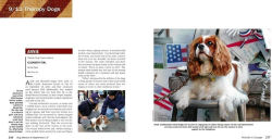 Alternative view 5 of Dog Heroes of September 11th: A Tribute to America's Search and Rescue Dogs