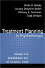 Treatment Planning in Psychotherapy: Taking the Guesswork Out of Clinical Care / Edition 1