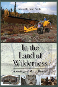 Title: In the Land of Wilderness, Author: Marty Meierotto