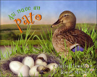 Title: Así nace un pato, Author: Claire Llewellyn