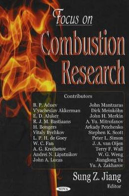 Focus on Combustion Research