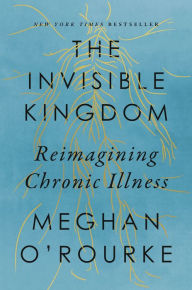 Free download ebooks of english The Invisible Kingdom: Reimagining Chronic Illness