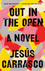 Title: Out in the Open: A Novel, Author: Jesús Carrasco