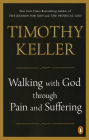 Walking with God through Pain and Suffering