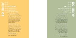 Alternative view 6 of Colorstrology: What Your Birthday Color Says about You