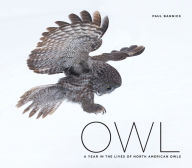 Title: Owl: A Year in the Life of North American Owls, Author: Paul Bannick