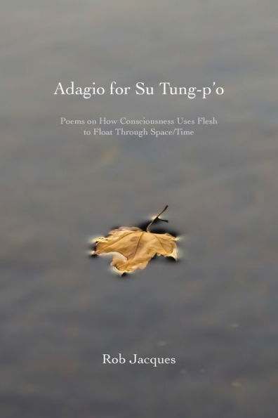 Adagio for Su Tung-p'o: Poems on How Consciousness Uses Flesh to Float Through Space/Time