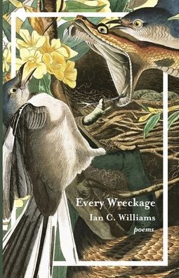 Every Wreckage: Poems