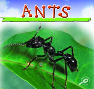 Title: Ants, Author: Jason Cooper