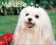 Title: 2007 Just Maltese Wall Calendar, Author: Willow Creek Press