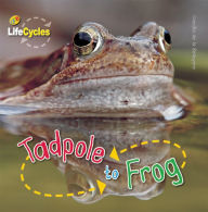 Title: Tadpole to Frog, Author: Camilla de la Bedoyere