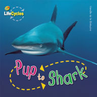 Title: Pup to Shark, Author: Camilla de la Bedoyere