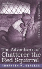 The Adventures of Chatterer the Red Squirrel