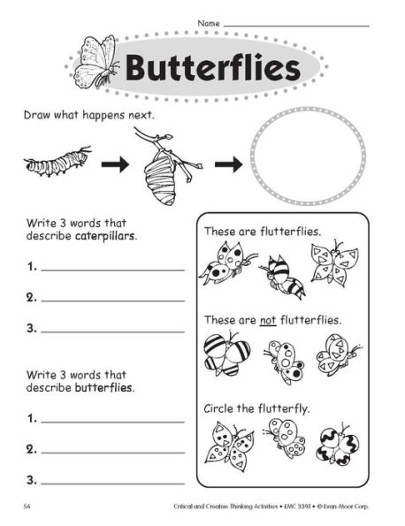 Critical and Creative Thinking Activities, Grade 1 Teacher Resource