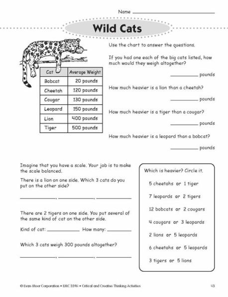 Critical and Creative Thinking Activities, Grade 4 Teacher Resource