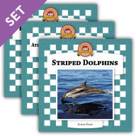 Title: Dolphins Set II, Author: ABDO Publishing Company