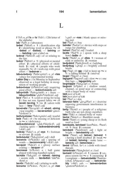 Webster's American English Dictionary