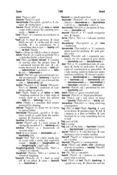 Webster's American English Dictionary