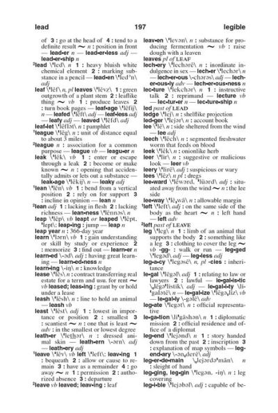 Webster's American English Dictionary