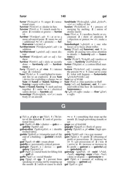 Webster's American English Dictionary, Expanded Edition