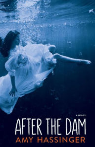 Title: After the Dam, Author: Amy Hassinger