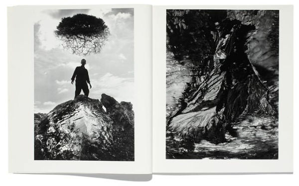 Aperture Magazine Anthology: The Minor White Years, 1952-1976