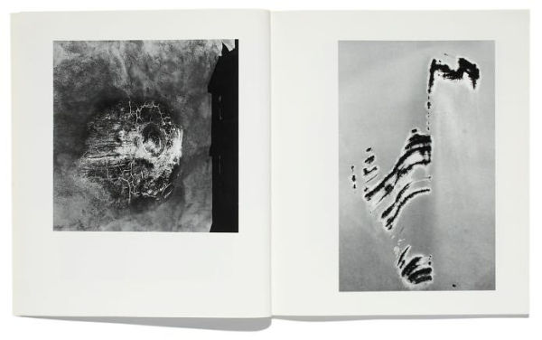 Aperture Magazine Anthology: The Minor White Years, 1952-1976