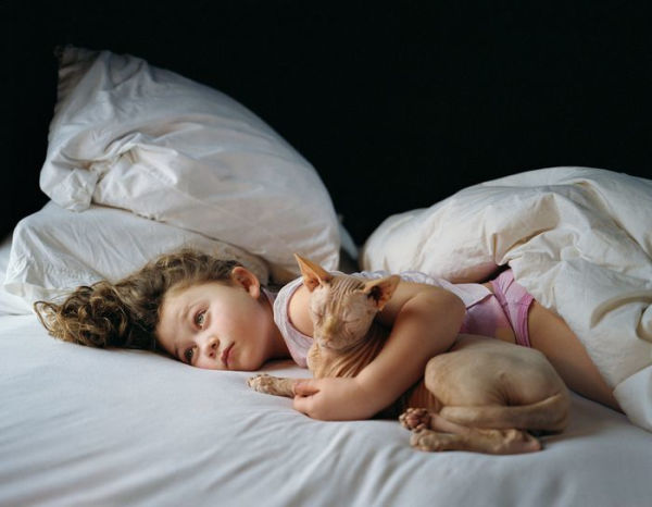 Robin Schwartz: Amelia and the Animals