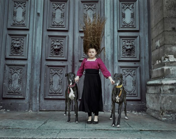 Robin Schwartz: Amelia and the Animals