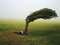 Alternative view 4 of Pieter Hugo: Kin