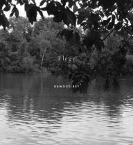 Title: Dawoud Bey: Elegy, Author: Valerie Cassel Oliver