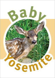 Title: Baby Yosemite, Author: Katherine Brumage