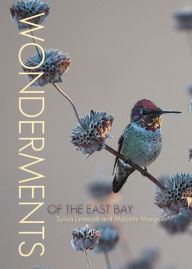 Title: Wonderments of the East Bay, Author: Sylvia Linsteadt