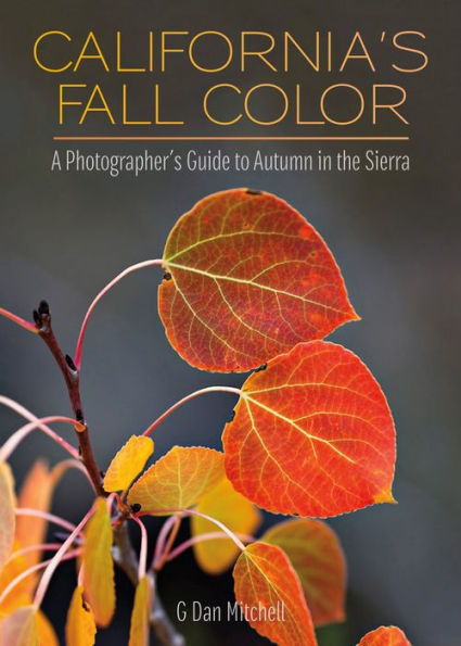California's Fall Color: A Photographer's Guide to Autumn in the Sierra