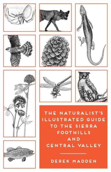 the Naturalist's Illustrated Guide to Sierra Foothills and Central Valley