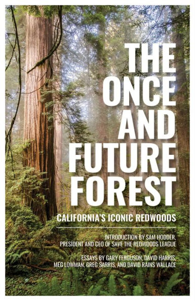 The Once and Future Forest: California's Iconic Redwoods