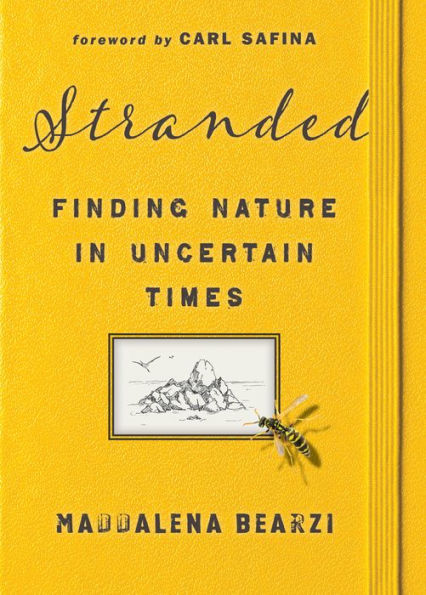 Stranded: Finding Nature Uncertain Times