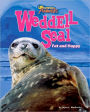 Weddell Seal: Fat and Happy