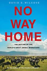 Title: No Way Home: The Decline of the World's Great Animal Migrations, Author: David S. Wilcove